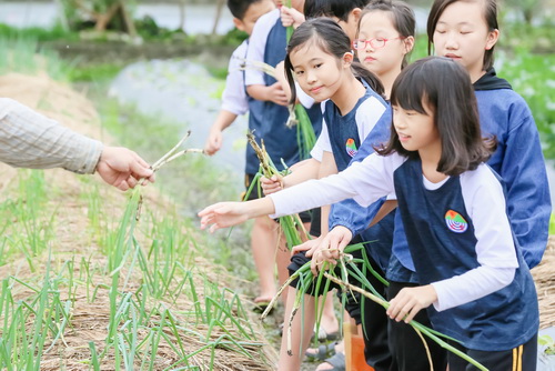 公益活動成果圖片